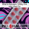 What Is Kamagra 100Mg Oral Jelly Used For 18